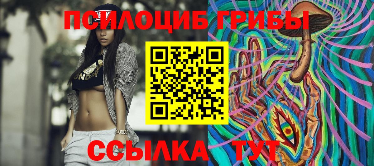 Галлюциногенные грибы Psilocybine cubensis  Вход с VPN  Славянск-на-Кубани 